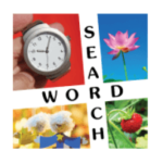 10x10 Sopa de letras soluciones