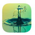 Soluções 135 Palavras Cruzadas